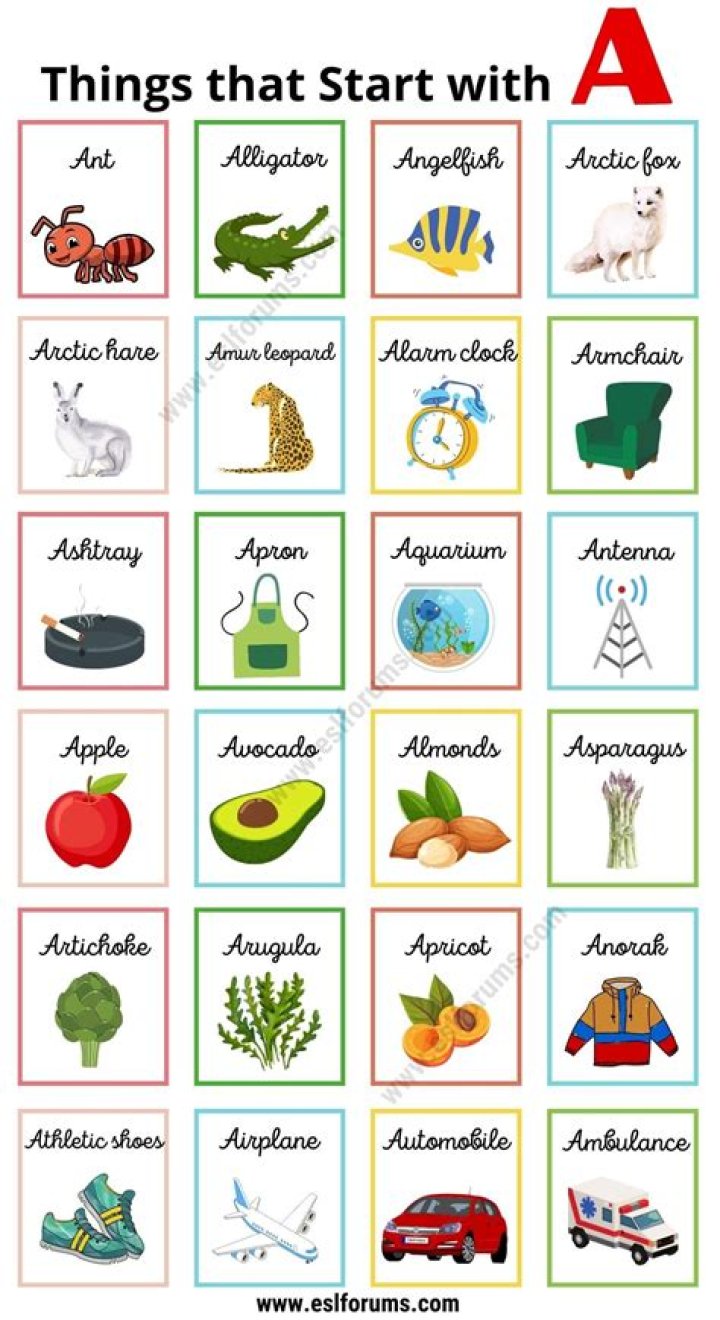 Awesome Sports That Start With The Letter S: A Comprehensive Guide