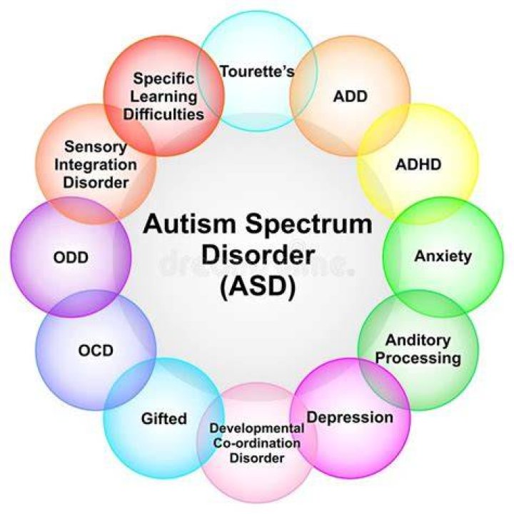 Barron Trump Autism Spectrum Disorder: A Comprehensive Guide