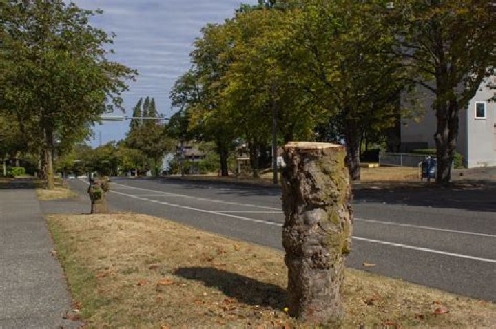 Bellingham: The City's Unlikely Twin Connection
