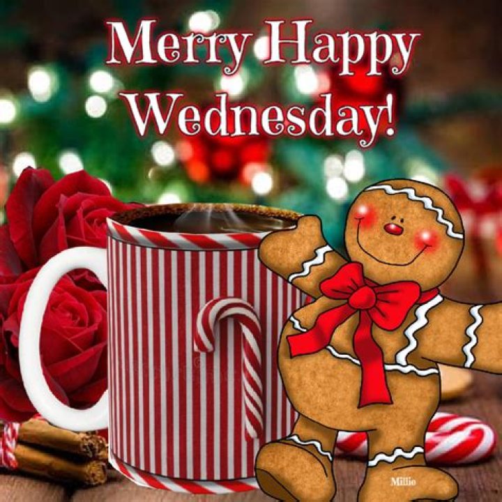 Celebrate The Merry Christmas Wednesday With Festive Cheer And Joy