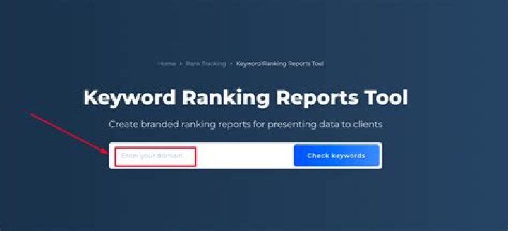 Check Your Keyword Ranking: The Ultimate SEO Tool