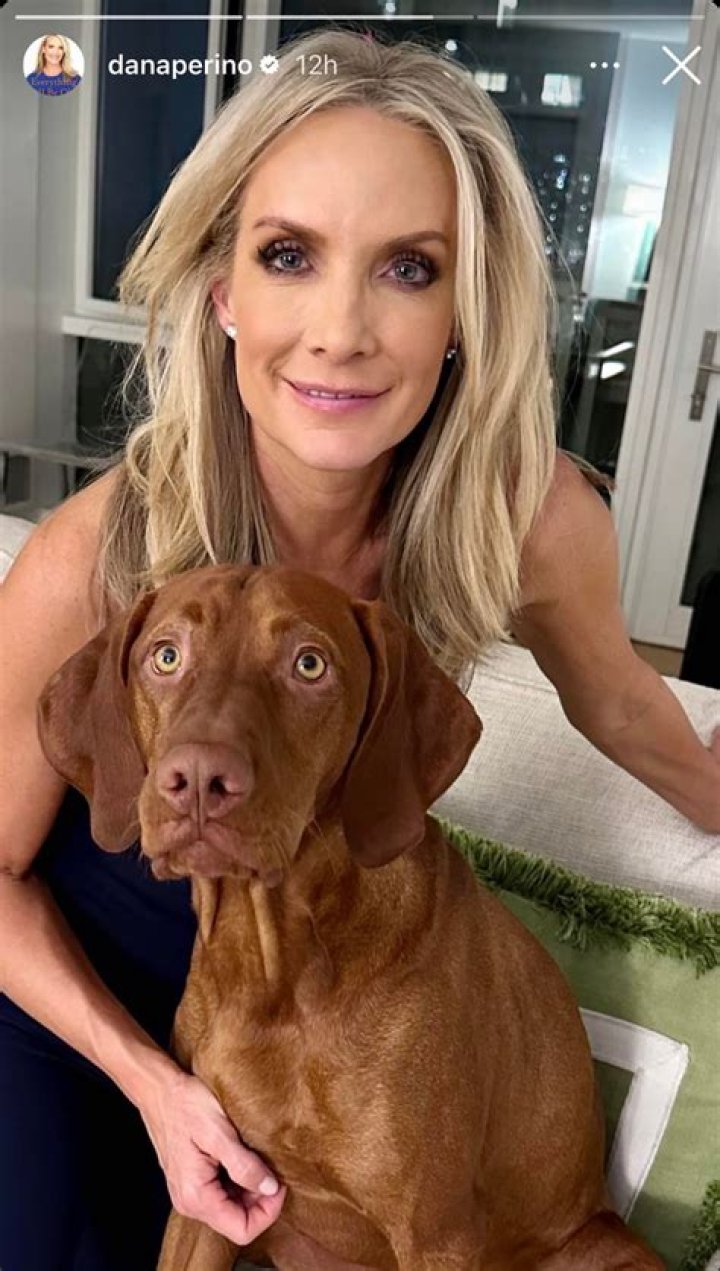 Dana Perino's Personal Life: Details On Her Family