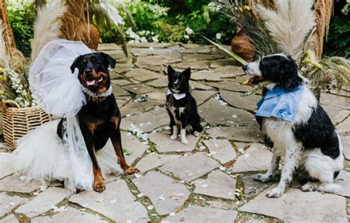 Did Steve Harwell Tie The Knot? Marriage Status Revealed