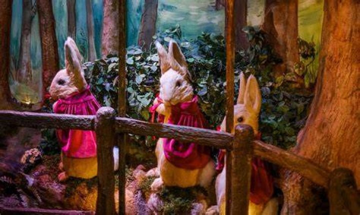 Discover The Enchanting World Of Willow Harper: Unlocking Her Timeless Style And Inspiring Creations
