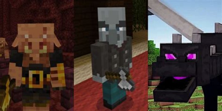 Discover The Fascinating Age Of Minecraft Star Drista
