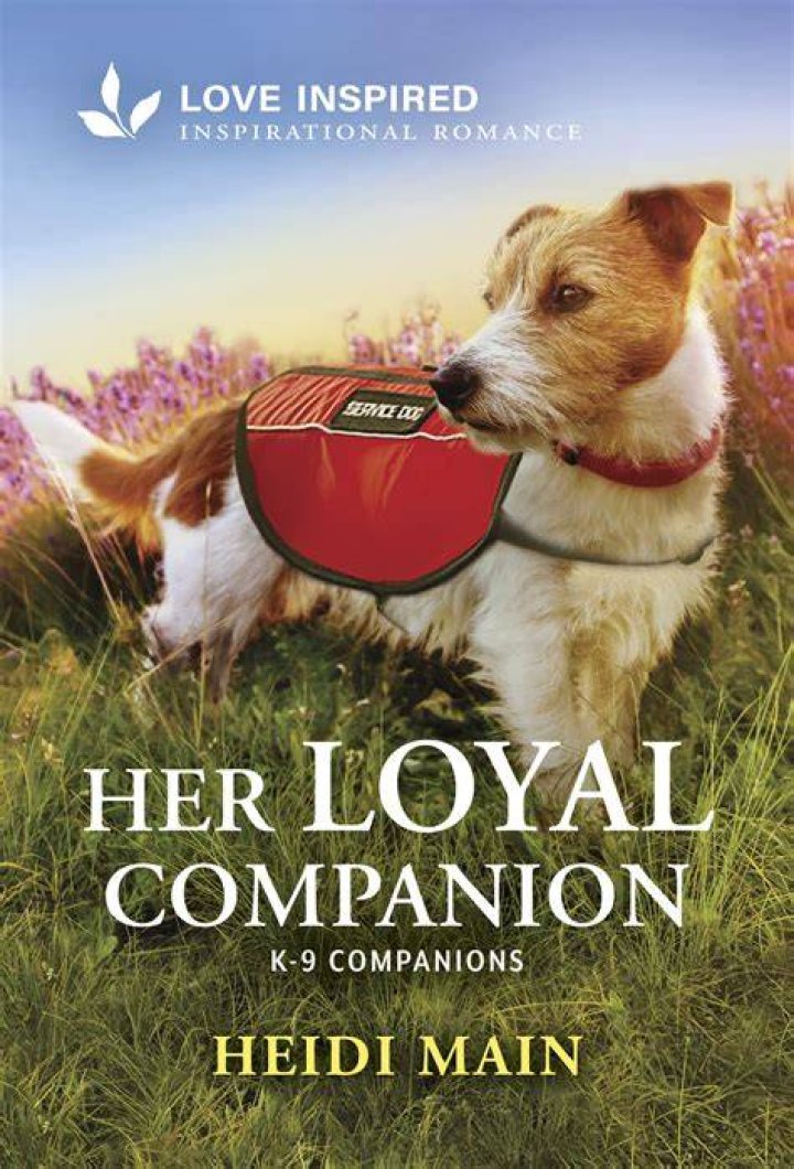 Discover The Unbreakable Bond Between Sarah And Her Loyal Companion, Juan The Horse
