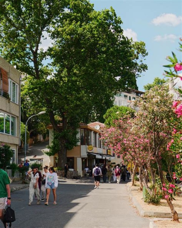 Discover The Vibrant Neighborhood Of The Neighborhood - Kpkuang