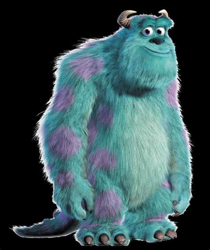 Discover: What Kind Of Monster Is Sulley?