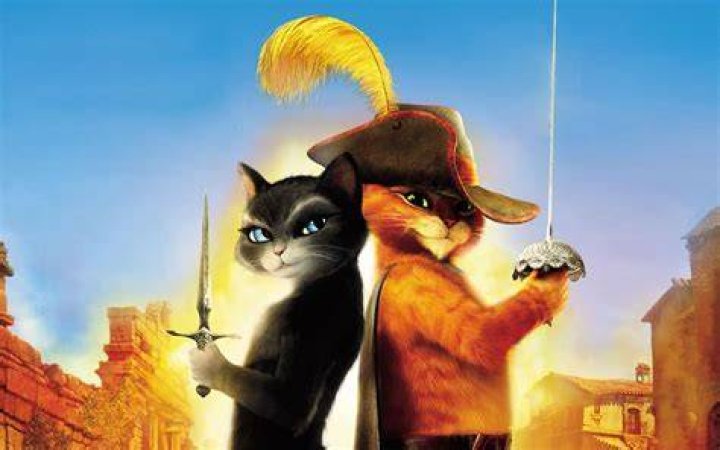 Discovering The Charm Of El Gato Cat: A Feline Friend Like No Other