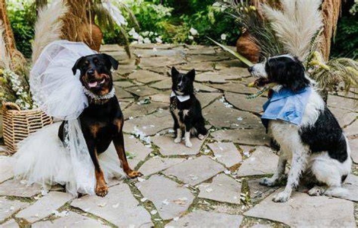 Eliza Taylor's Marital Journey: Who Did She Tie The Knot With?