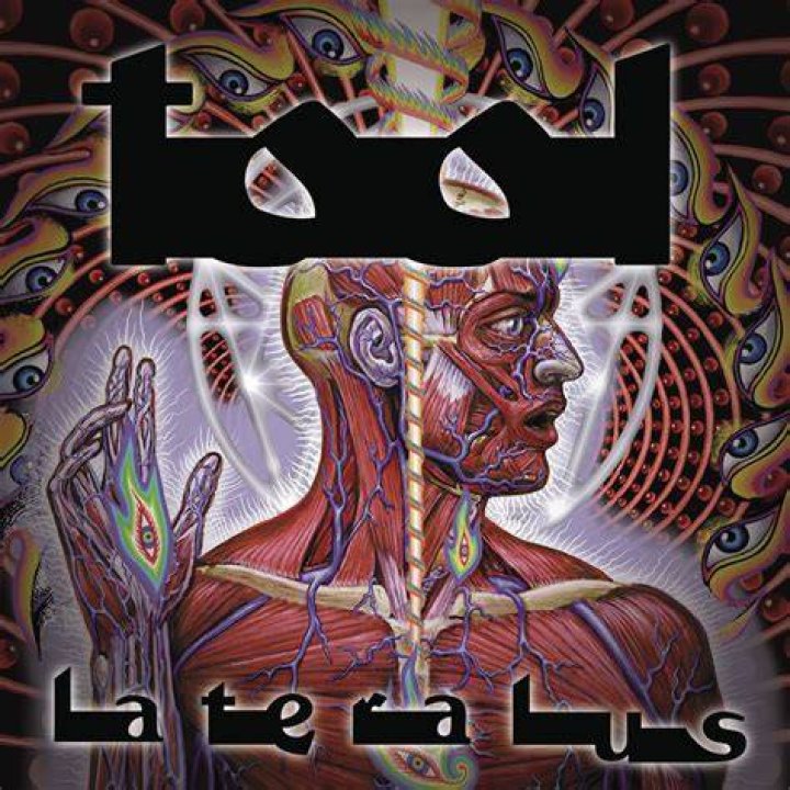 Exploring The Depths Of Tool's Lateralus Lyrics