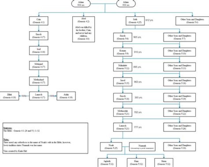 Judge Judy's Family Tree: A Comprehensive Genealogy