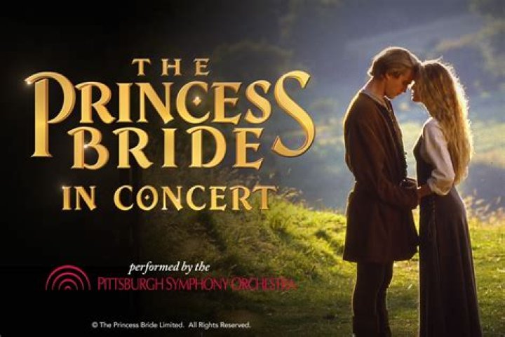 Kiss The Band: Uncovering The Symphony Of Love And Rebellion