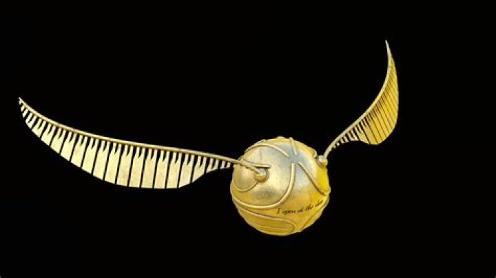 Meet The Stars: The Ultimate Cast Of The Snitch Guide