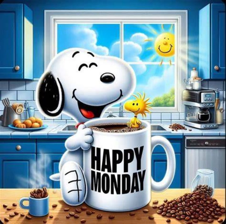Monday Mood: The Ultimate Happy Monday Meme Roundup