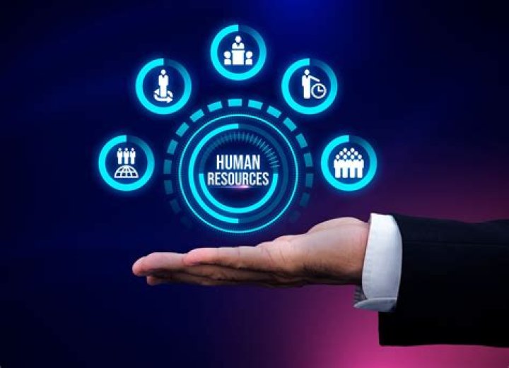 Petra Voice Actor: A Human Resources Perspective