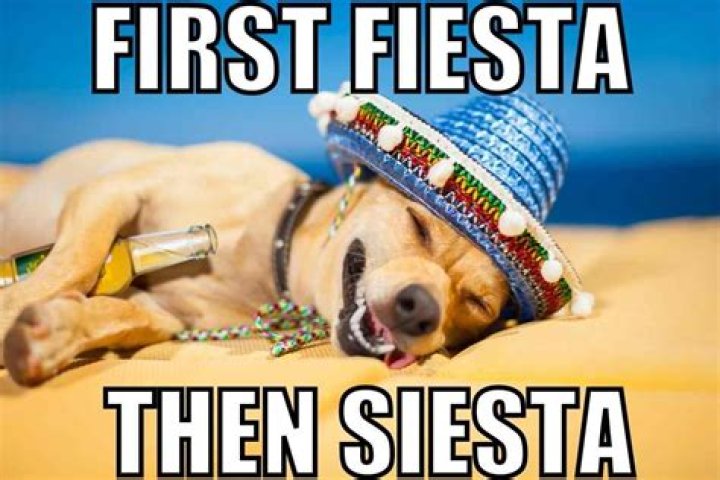 Recovering From The Fiesta: A Day After Cinco De Mayo Meme Extravaganza