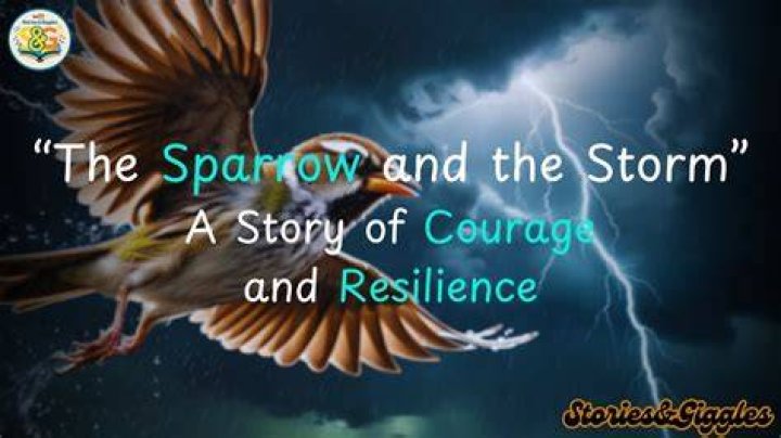 Rita Setliff: An Incredible Story Of Courage And Resilience