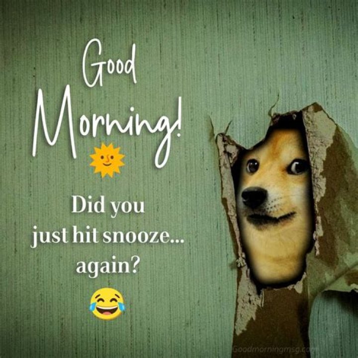 Start Your Day With A Smile: Exploring Good Morning Funny Memes