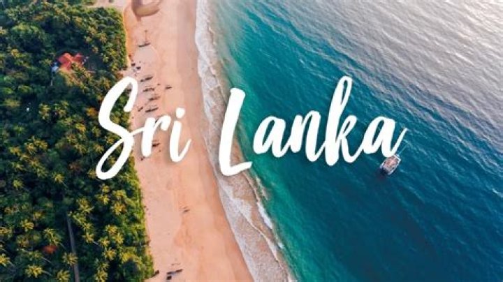 Superior SEO Services Tailored For Sri Lankan Businesses