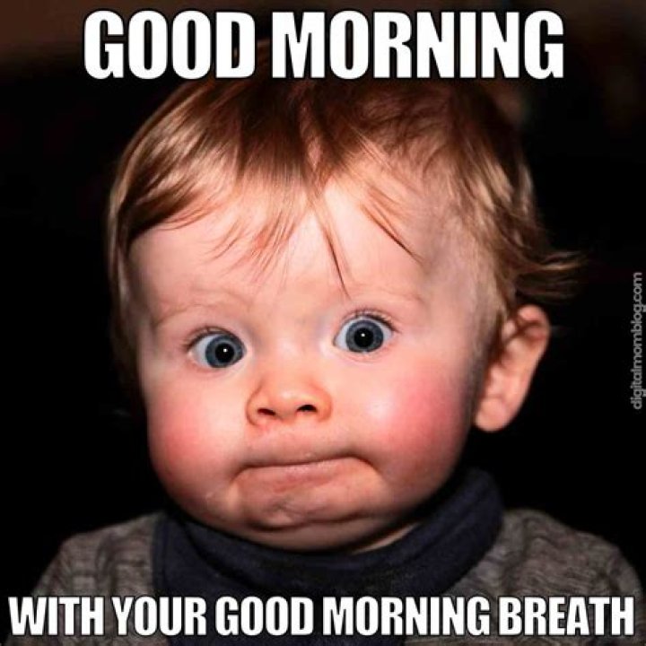 The Best Funny Good Morning Memes To Brighten Your Day