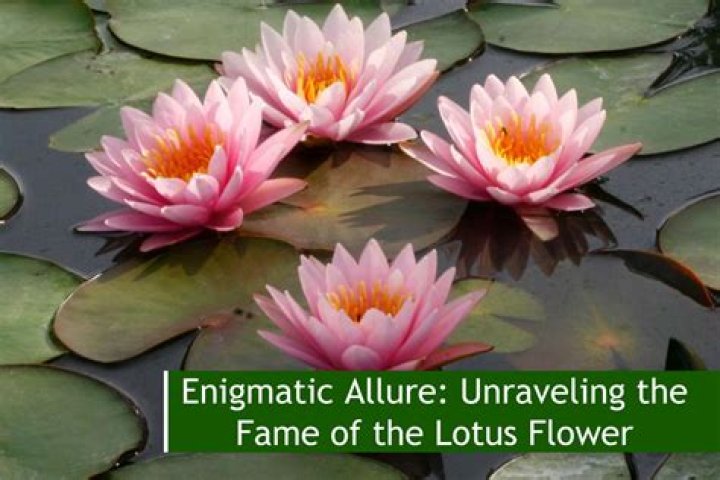 The Enigmatic Allure: There Is Something Intriguing About You