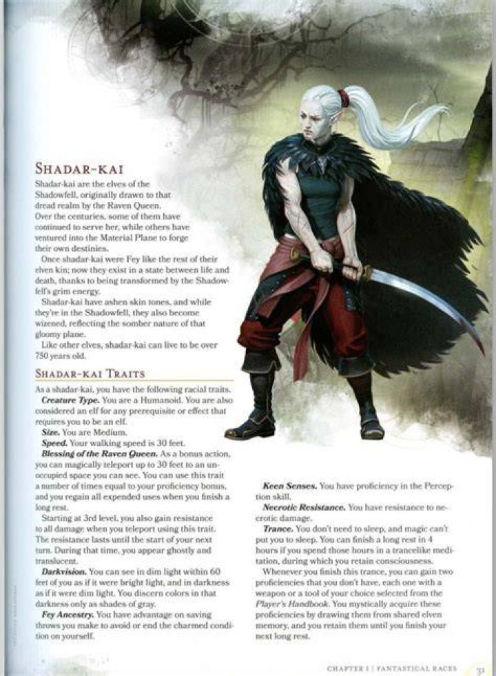 The Essential Guide To Exploring Shadar-Kai 5e