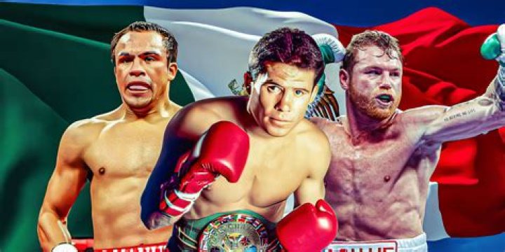 The Essential Guide To Misfits Boxing: An Unofficial Wiki