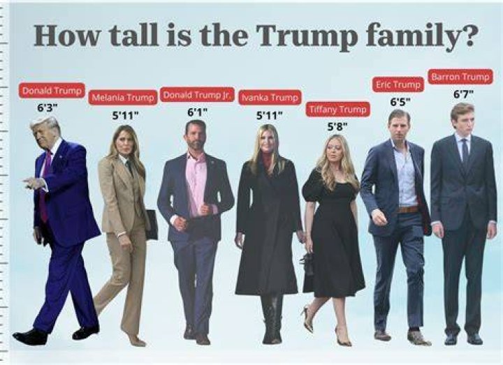 The Impressive Height Of Cliffe Knechtle: How Tall Does He Stand?