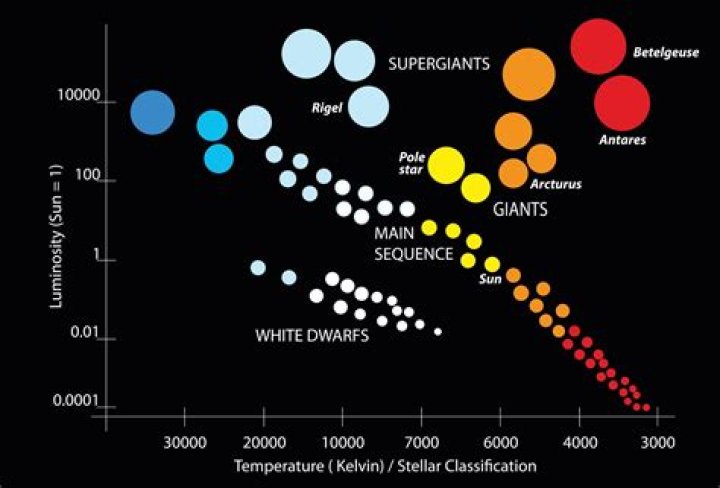 The Ultimate Guide To Celebrities: An Extensive List Of Stars