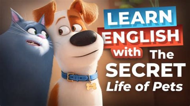 The Whimsical World Of The Secret Life Of Pets Cast
