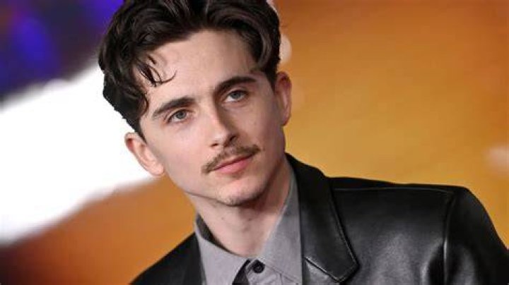 Timothy Chalamet's Pregnancy: Fact Or Fiction?