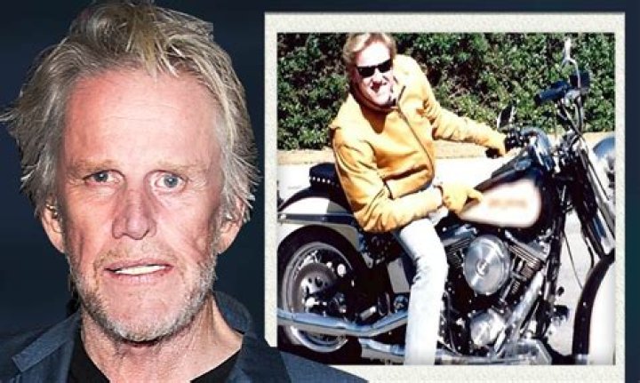 Tragic Accident: Gary Busey Injured In Bicycle Collision