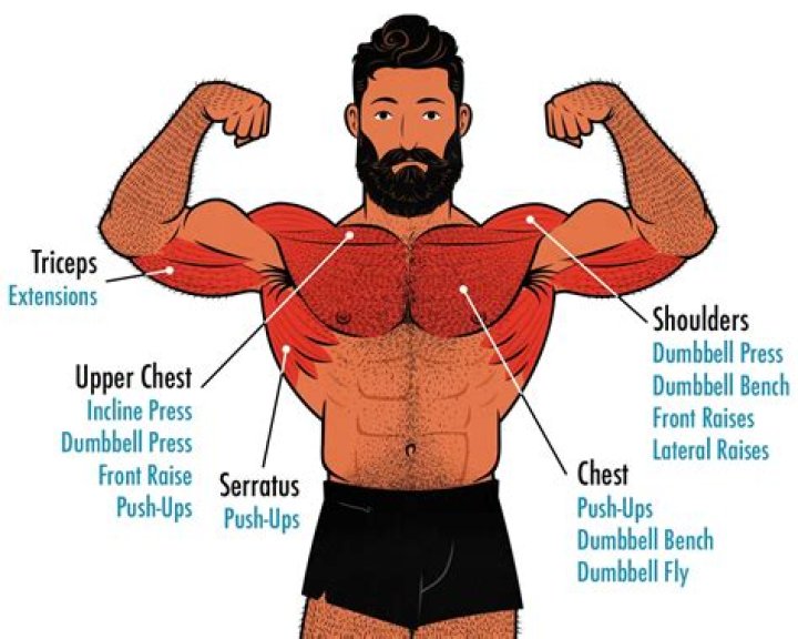 Ultimate Guide To Building Strength With Peck Weight Exercises