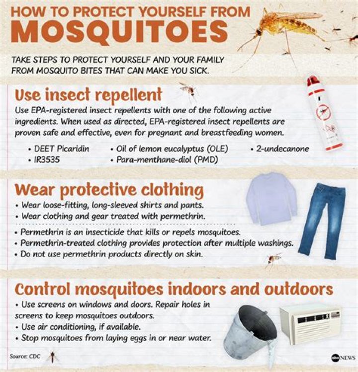 Uncover The Truth: Are Mosquitoes A Beach Hazard?
