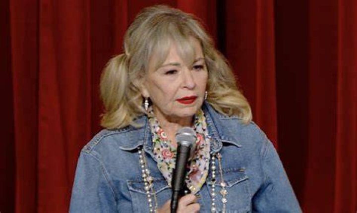 Uncovering The Truth About Rose Ann Barr: Controversy And Comedic Genius