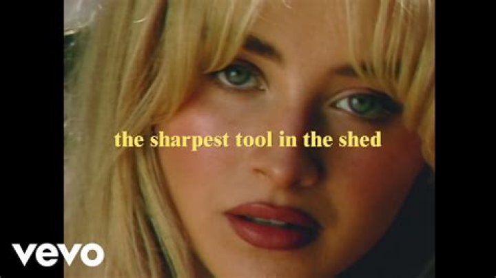 Understanding The Depth Of "The Sharpest Lives" Lyrics