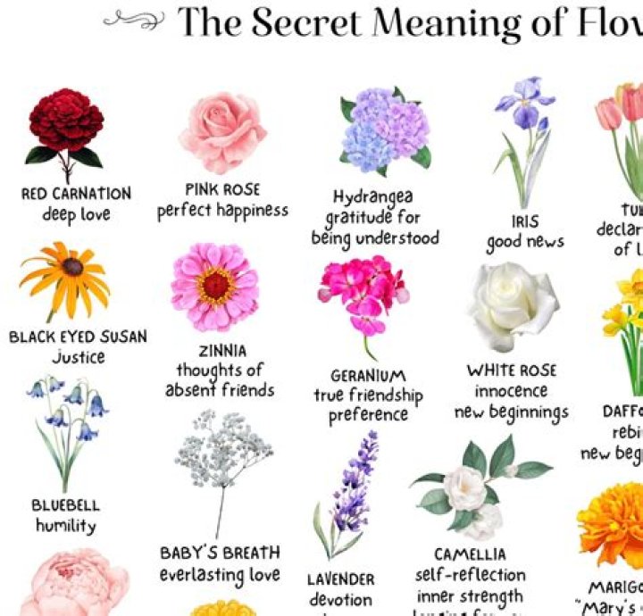Unlock The Meaning Of "Save The Roses": Symbolism And Significance Revealed