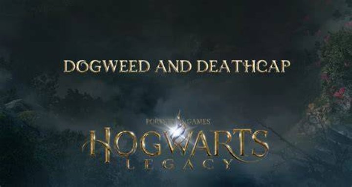 Unraveling The Mysteries Of Dogweed And Deathcap