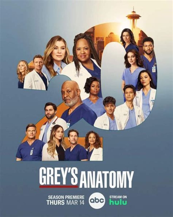 Who Is Sadie Harris In Grey's Anatomy?