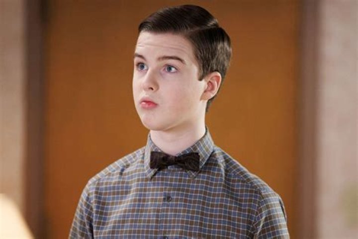 Youthful Sheldon's Wage: A Detailed Investigation